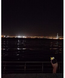 臨港パークからの夜景 | その他