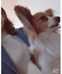 激かわわんちゃん🐶💗 | わんわん🐶(その他ベビー用品)
