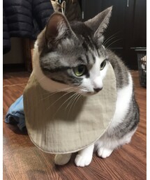 シガセイサクショ | スタイ/よだれかけ