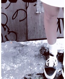 Champion | ソックス/靴下