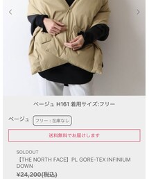 THE NORTH FACE PURPLE LABEL | マフラー