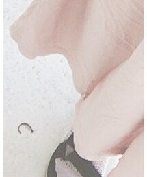 靴下屋 | ソックス/靴下