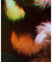 Anthropologie | ムートンコート