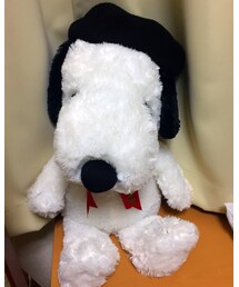 不明 | ハンチング/ベレー帽