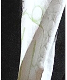 UU | シャツ/ブラウス