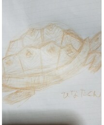 削除されたw | ポスター/アート