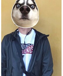 SPAO | Tシャツ/カットソー