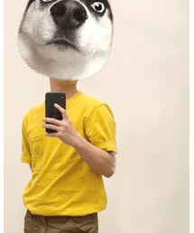 oce | Tシャツ/カットソー