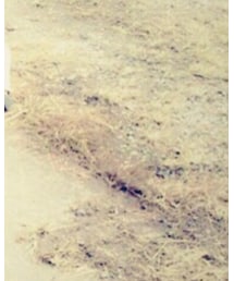 ARMANI EXCHANGE | アナログ腕時計