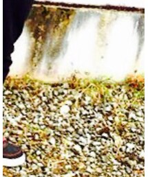 VANS | スニーカー