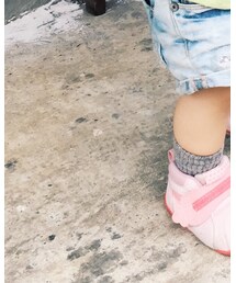 pigeon | スニーカー