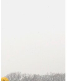THE NORTH FACE | スカート