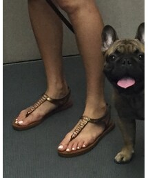 ROXY | サンダル