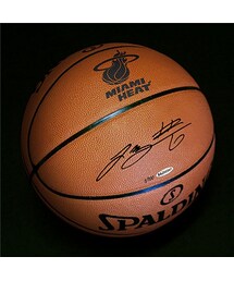 SPALDING | SPALDING LeBron James (その他)