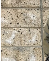 しまむら | シャツ/ブラウス