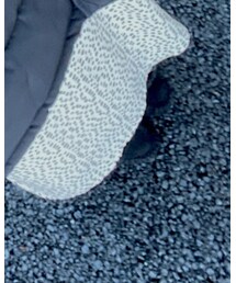 しまむら | スリッポン