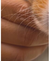 2020/12/13 | 財布/小物