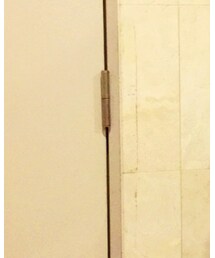 white buffalo | バングル/リストバンド