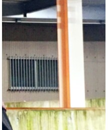 white buffalo | バングル/リストバンド