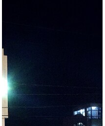 Scye | シャツ/ブラウス