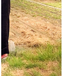 HTC | スニーカー