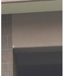 white buffalo | バングル/リストバンド