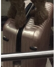 RIMOWA | スーツケース/キャリーバッグ