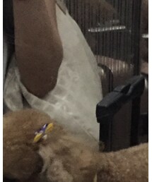 CHANEL | トートバッグ