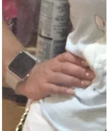 apple watch | アナログ腕時計