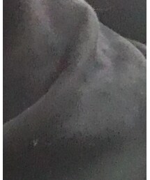 WEGO | スウェット