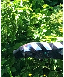 off white | スウェット