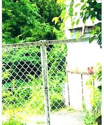 UNDERCOVER | ナイロンジャケット