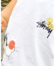 STUSSY | Tシャツ/カットソー