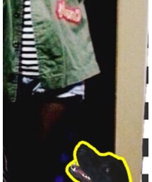 no brand | デニムパンツ