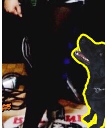 no brand | タイツ/ストッキング