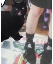 RNA SLANG | スニーカー