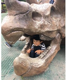 ★★★ | その他