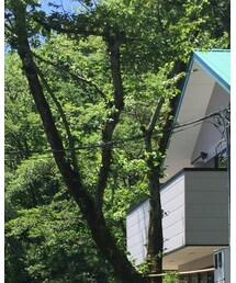 NEW ERA | キャップ