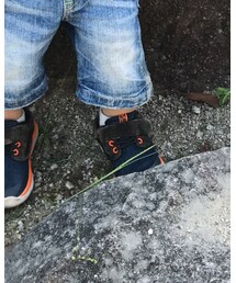 VANS | スニーカー