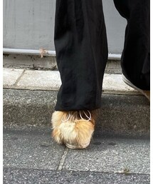 ZUCCa | シューズ