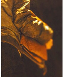 AVIREX | クラッチバッグ