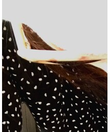 Acne Studios | サングラス