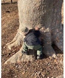 ☆☆☆ | 木登り🐒(その他)