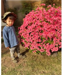 ☆☆☆ | 満開になったツツジとぼんやりしてるひと(その他)