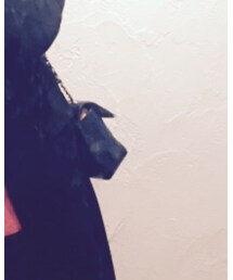 CHANEL | ショルダーバッグ