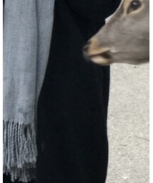 LOWRYS FARM | ジャケット/アウター