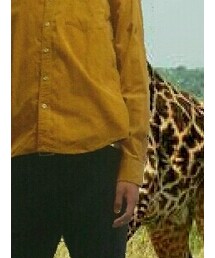 GLOBAL WORK | トップス