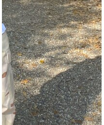 古着 | カーゴパンツ