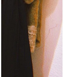 used | その他アウター