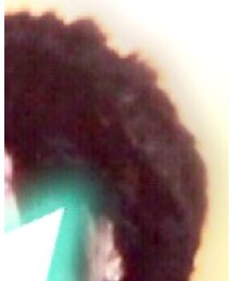 URBAN RESEARCH | ニットキャップ/ビーニー